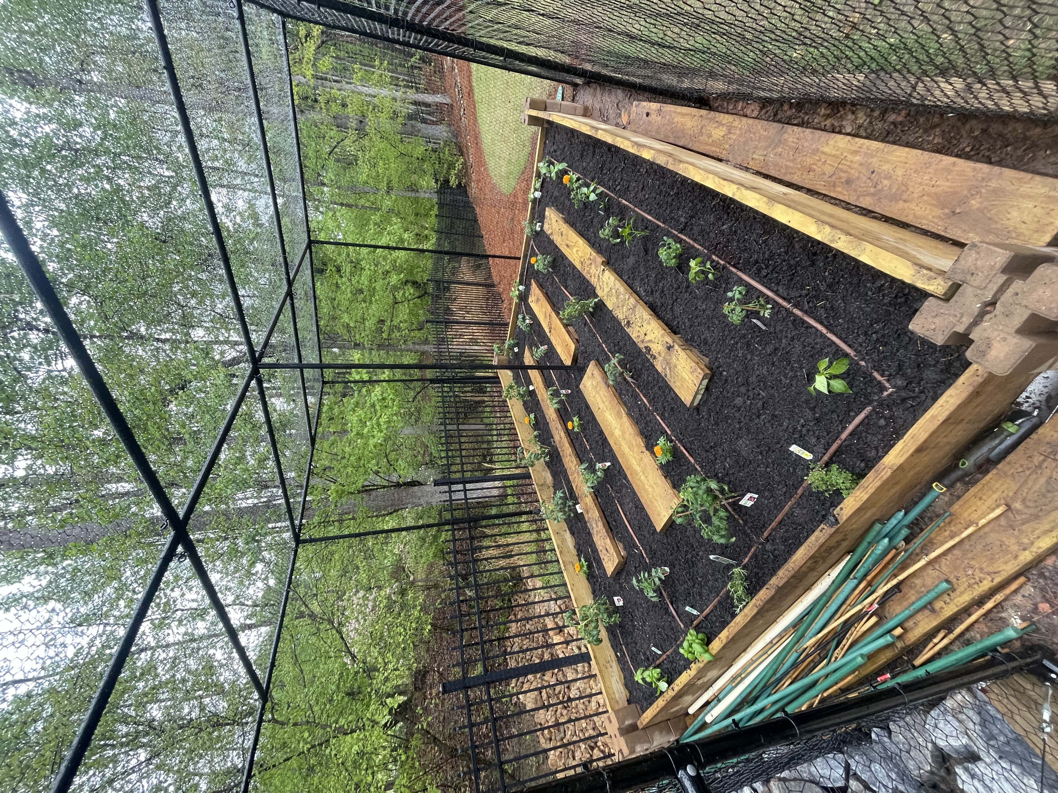 Greenhouse Enclosure View 1